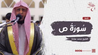سورة ص كاملة    صلاة القيام    رمضان الشارقة         الشيخ محمد عبادة دندنها