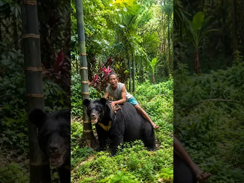 भालू और इंसान ने कमाल कर डाला 😲 #bear #fishing