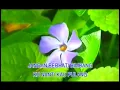 Download Lagu A.RAMLIE -  KU NANTI KAU PULANG ( KARAOKE NON VOCAL )