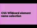 CSS Wildcard element name selection 3 answers