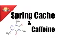 Spring Caching with Caffeine Cache