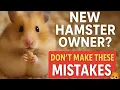Bought a hamster Watch this