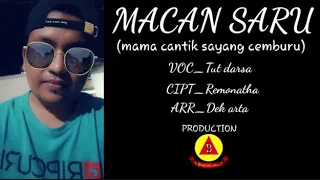 Download MACAN SARU- TUT DARSA MP3