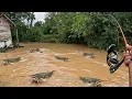 Download Lagu MOMEN LANGKA !! MEMANCING BAUNG DAN PATIN JADI STRIKE TAK TERDUGA DI SUNGAI KALIMANTAN 