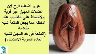 افضل وامتع انواع المهبل كل الرجال تعشقة للبالغين فقط 