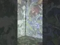 Beyond Van Gogh Experience Myrtle Beach