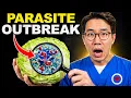 BREAKING The FDA Just Recalled These 5 Lettuce Products Don t Eat Them