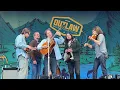 Freedom one mic - Billy Strings