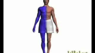 غسل ترتیبی ۱۷ 