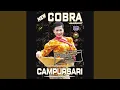 Download Lagu Yen Ing Tawang