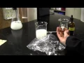 Diffusion Lab Instructions