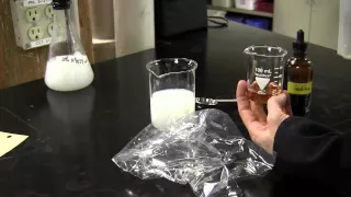 Diffusion Lab Instructions
