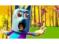 Download Lagu Vamos Brincar no Bosque