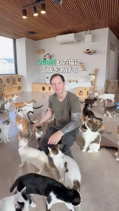 200匹もの猫にご飯をあげる