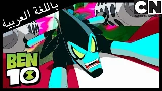 بن      عجلات الثروة   كرتون نتورك دندنها