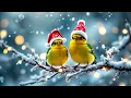 Relaxing Music with Bird Sounds | NO ADS | Piano & Nature Sounds for Meditation & Healing