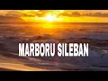 Download Lagu MARBORU SILEBAN + LIRIK #viral #lagubatak #lagubatakpopuler #lagubatakterbaru