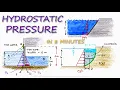 HYDROSTATIC PRESSURE Fluid Pressure in 8 Minutes