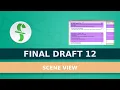 Final Draft 12 Scene View