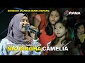Download Lagu Nia Dirgha Sangat Menghayati Lagu Camelia Live Di Monjok Bersama Dangdut Jalanan Irama Dopang