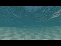 FPC Swimmer - Underwater swimming script for Unity 3D