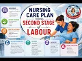 Nursing Care Plan During Second Stage of Labour Nursing Diagnosis and Interventions Explained
