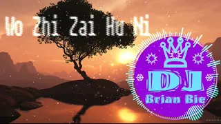 Download Dj Brian Bie Wo Zhi Zai Hu Ni MP3