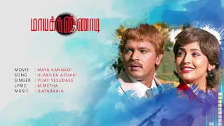ulagilea azhagi song maayakkannadi cheran navya nair ilayaraaja tamil songs