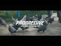 Progressive Pigeons Hilarious TV Commercial with a Twist