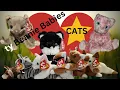 Adorable ty Beanie Baby Cat Collection