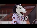 Northeastern Giving Day 2018 Episode 2