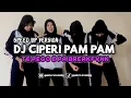 Download Lagu DJ CIPERI PAM PAM ( TE PEGO E PA BREAKFVNK ) MENGKANE Speed Up