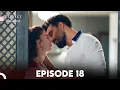 Lagu Perfect Groom Episode 18 | English Subtitles