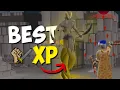 BEST melee XP in OSRS Sulphur Naguas
