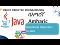 relational operators in java Amharic