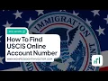 How to Find USCIS Online Account Number