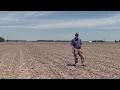 Corn Emergence Assessment in Crusted Soils