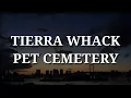 Download Lagu Tierra Whack - Pet Cemeterys