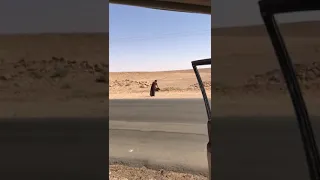 صيد طائر العقاب وهو يطير لايفوتكم المقطع 