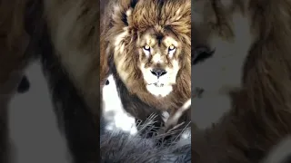 مانعرف اشمعنا الخوف 