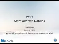 Additional WRF Runtime Options
