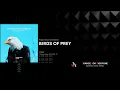 Roger Shah & Ambedo - Birds Of Prey FSOE