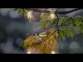Lagu Endang S Taurina Hujan Datang Lagi