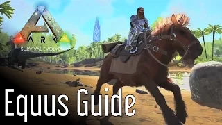 Equus Guide for ARK Survival Evolved