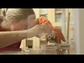 Virtual Tour Reed and Curie Halls