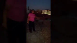 غيرنا النشاط بقينا نطير طيارات 