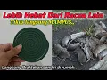 Download Lagu Tikus langsung MAMPUS !! Buat racun tikus paling ampuh,Tikus di rumah dan tikus sawah langsung mati