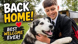 The Cutest Husky Reunion Ever!!😭. 