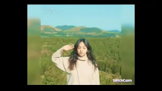 disco tarling regae limang tahun