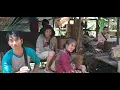 Download Lagu SUKU PUNAN BATU SAAT INI LAGI MUSIM MADU BANYAK YANG KEHUTAN ADA JUGA YANG BERBURU